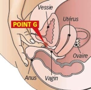 g-spot